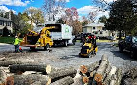 Best Aeration Services  in Liberty, KY